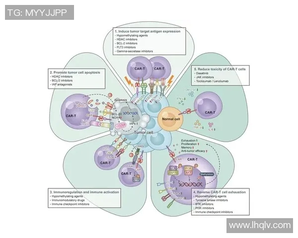 探索CSGO战术中的LNG节奏体系与团队配合策略分析